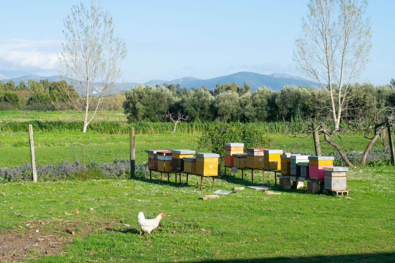 Camera Iris - B&B Antico Casale Monte San Biagio Esterno foto